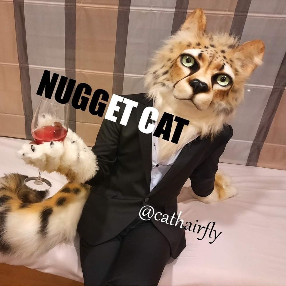 Noraneko▪︎Nugget Cat/野良▪︎貓雞塊