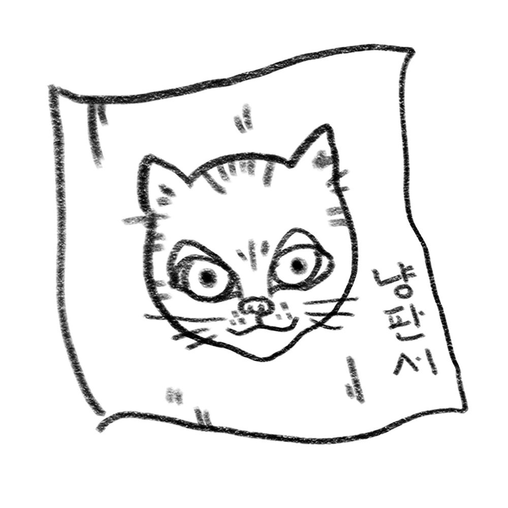 Catboard