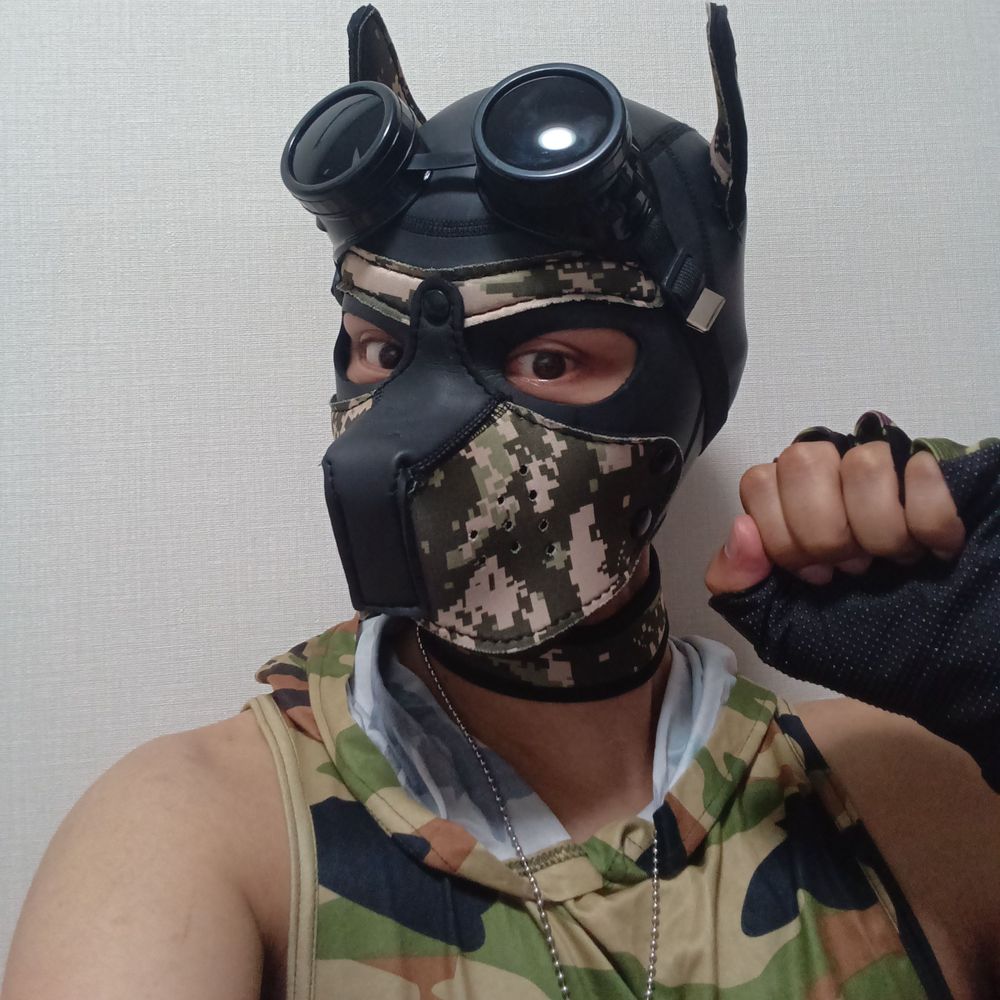 犬飼