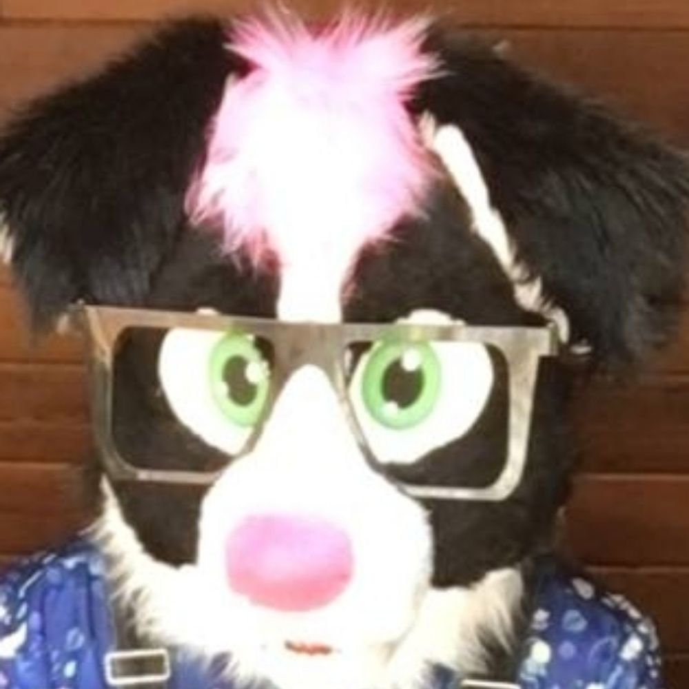 Lilly Collie