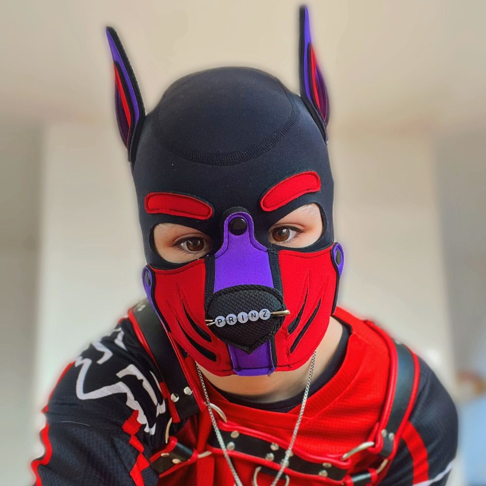 𝐏𝐮𝐩 𝐏𝐫𝐢𝐧𝐳