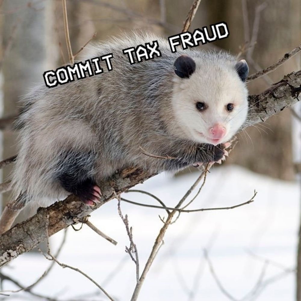Tax Fraud Opossum
