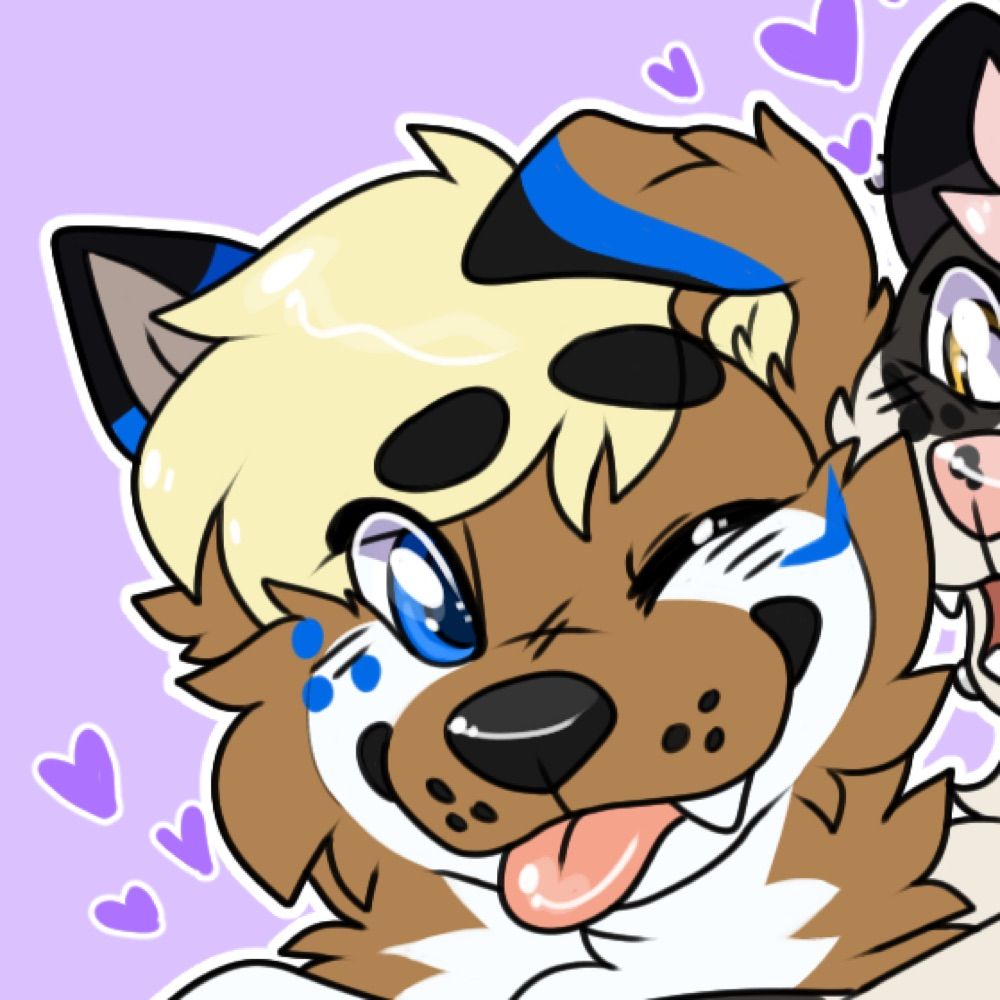 kaidoggo