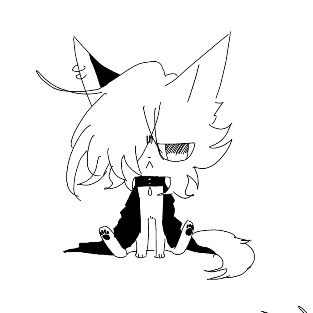 -猫派-