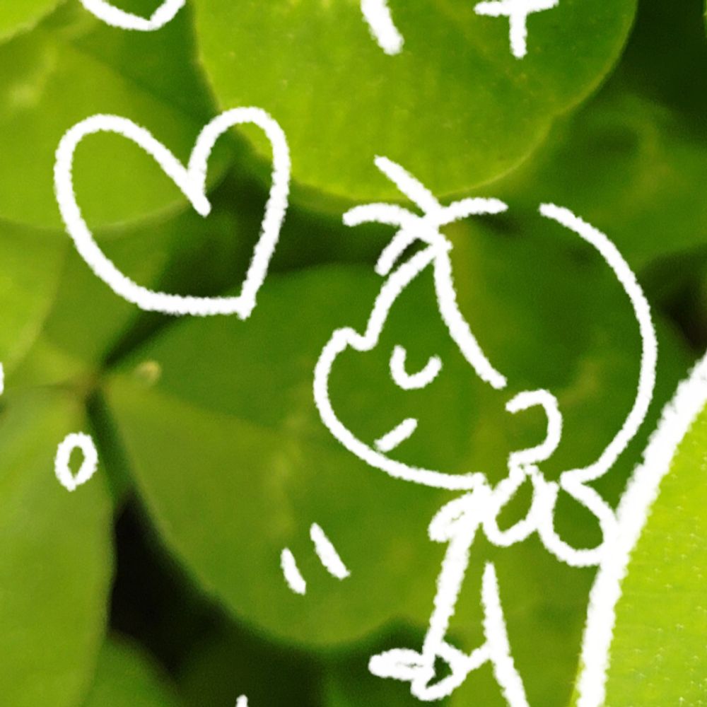 ☘️かを