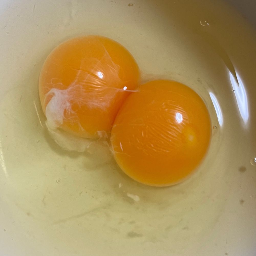 たごかず
