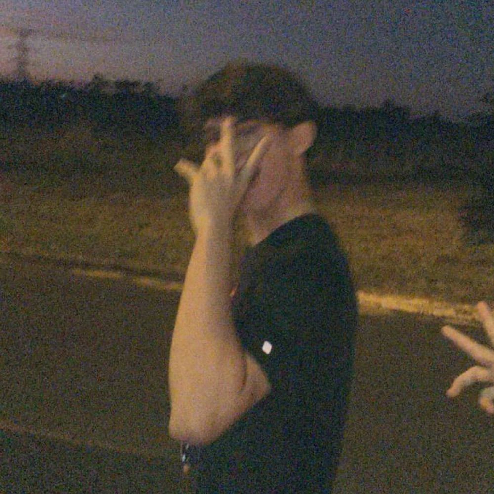 Vagabundo a procura da Dama