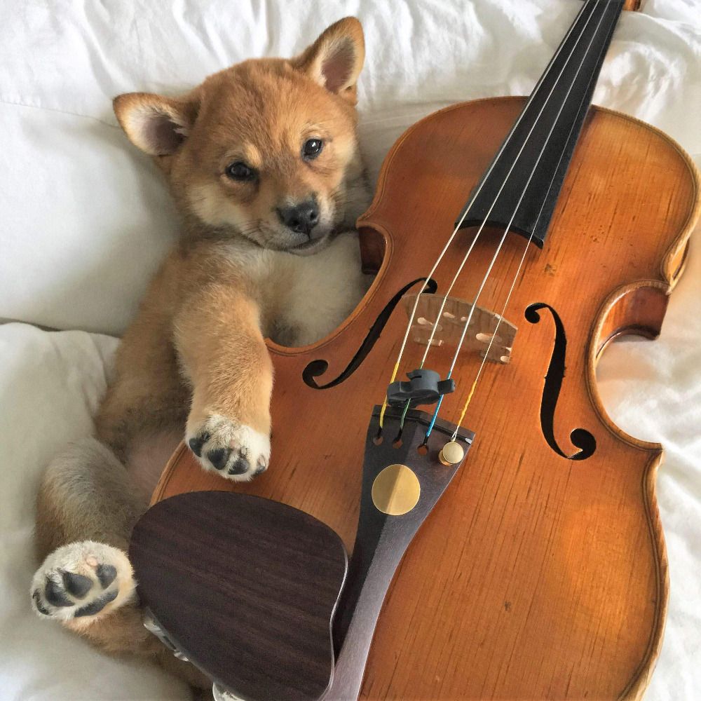 newbaroque