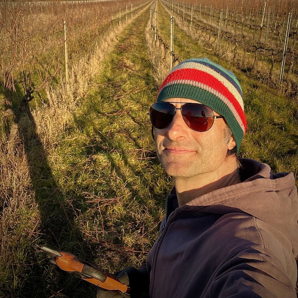 Hammer Wein
