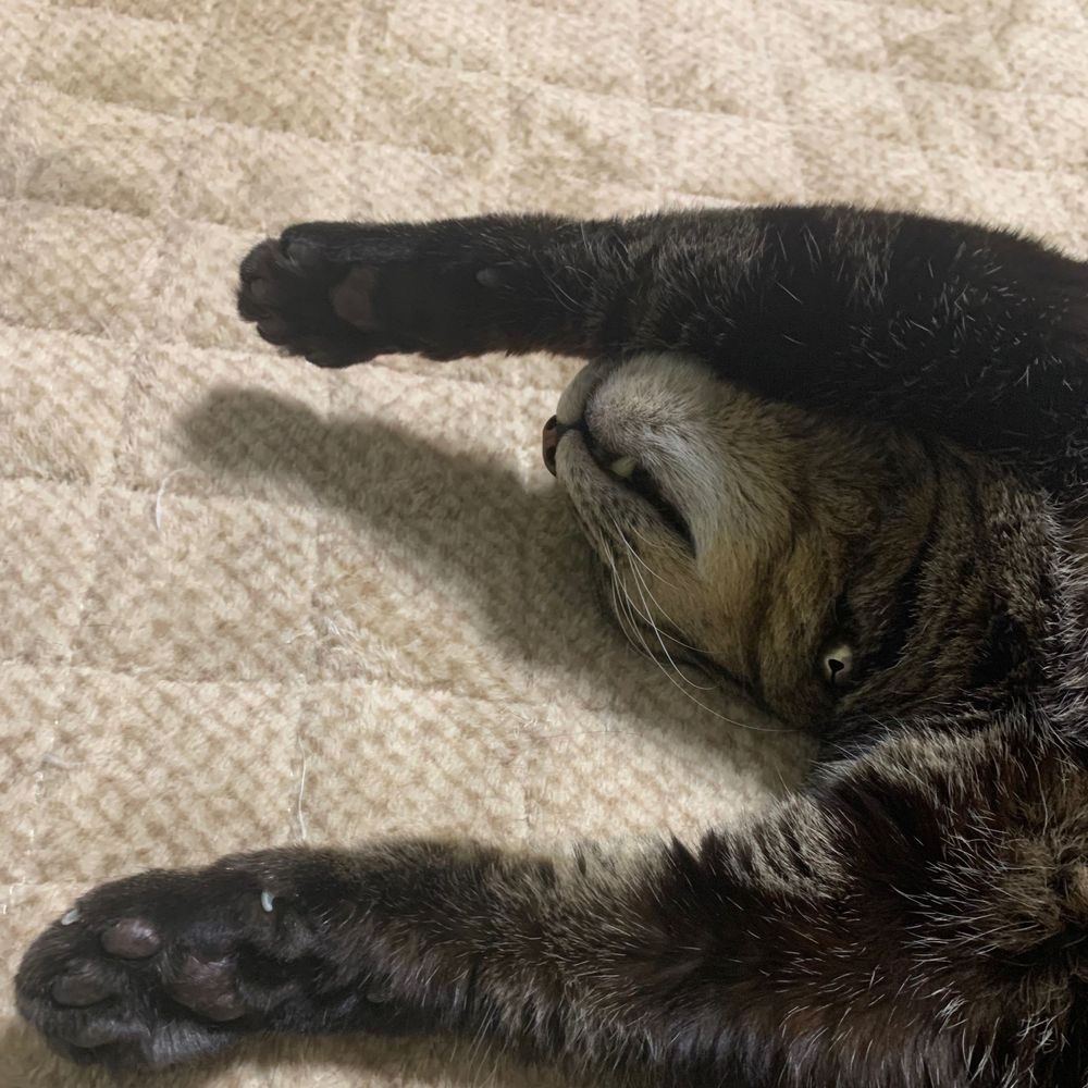 つたやな
