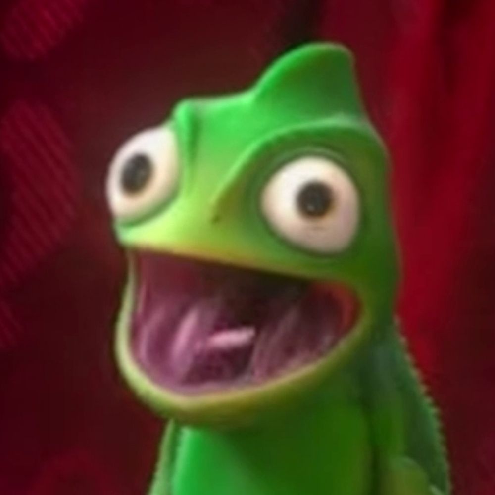 MrZachGuy