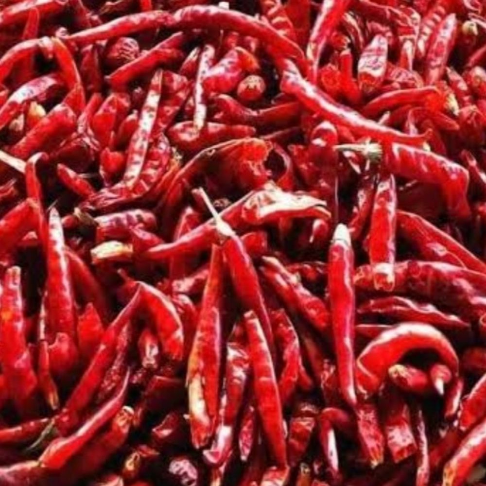 Bacı Biber