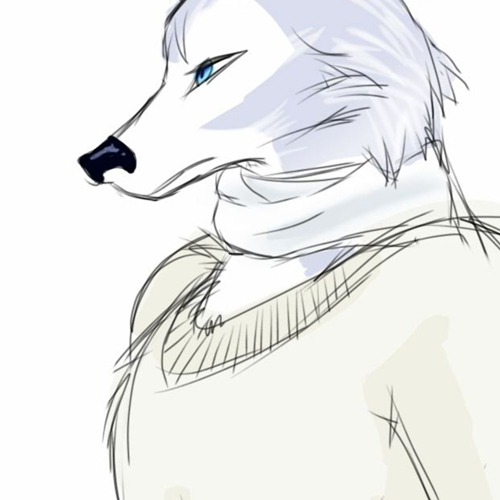 VandermeerFurry