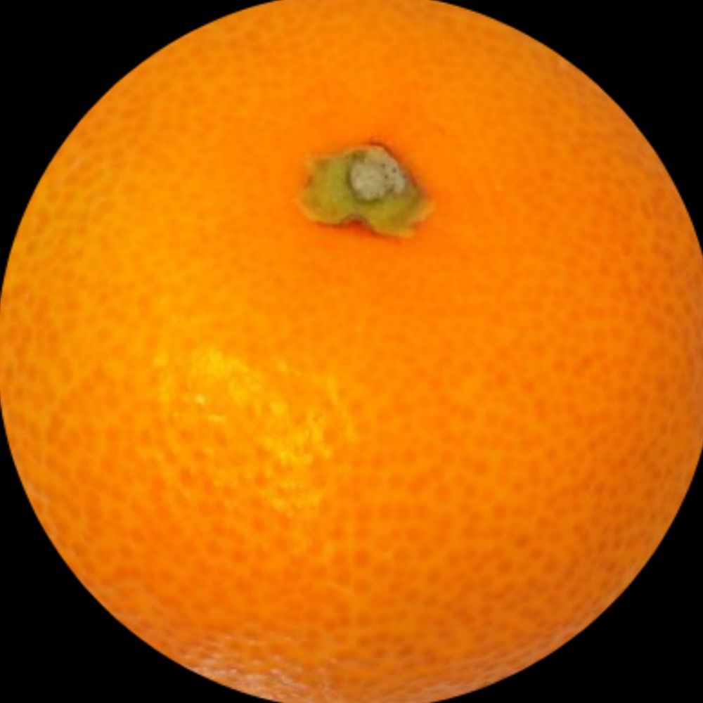 わせ🍊