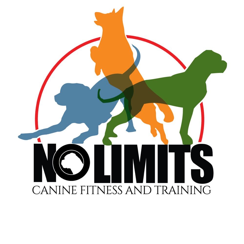 No Limits Canine