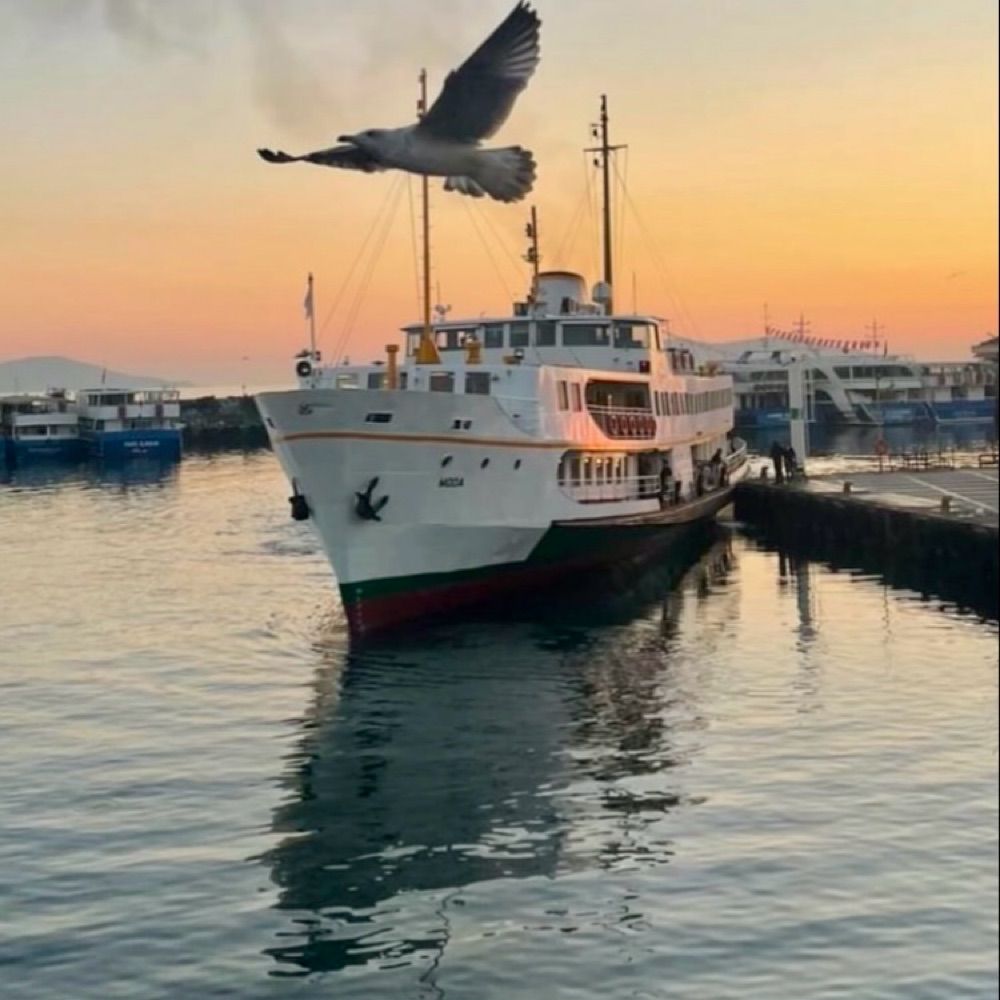 Özbek