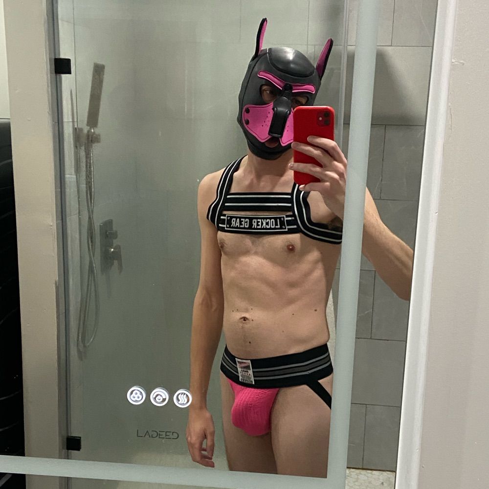 pup meteor