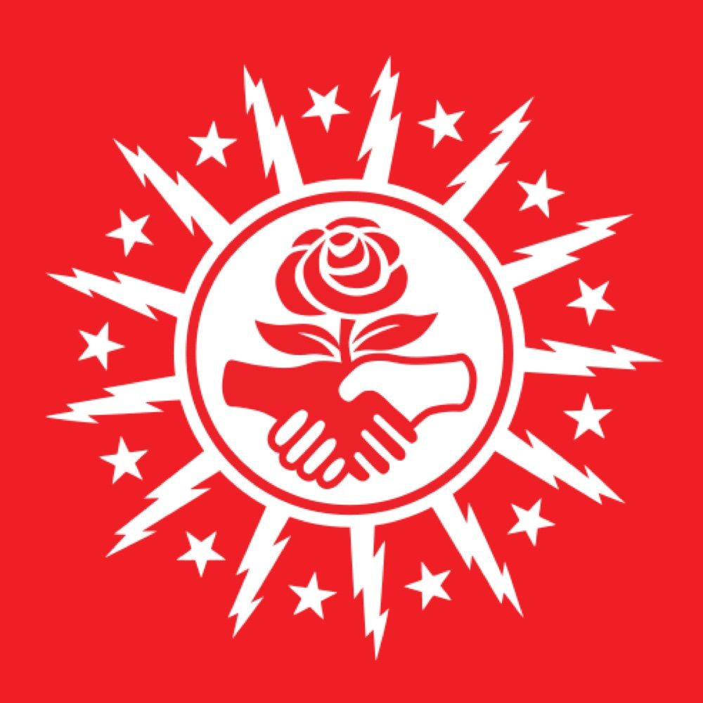 Buffalo DSA
