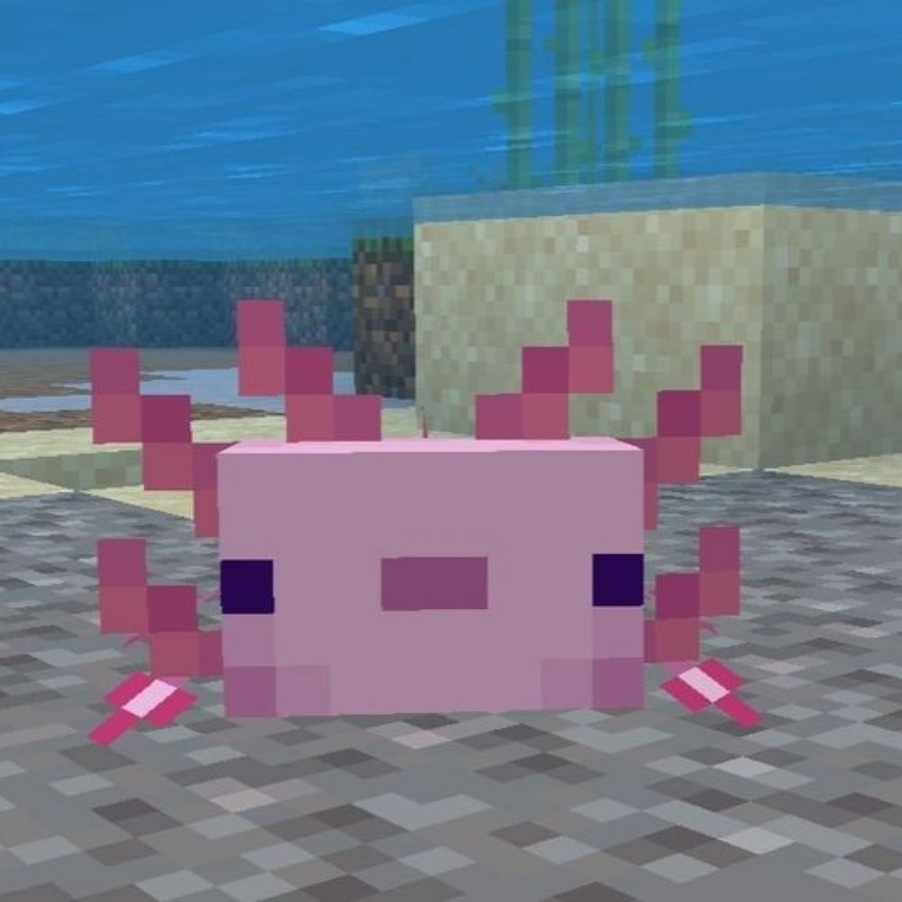 H₂SO₄