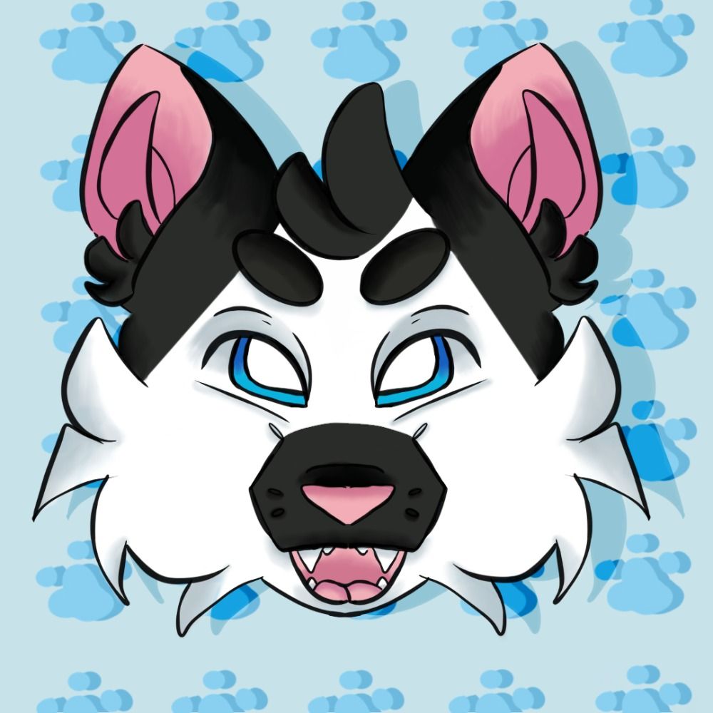 hazicwolfe
