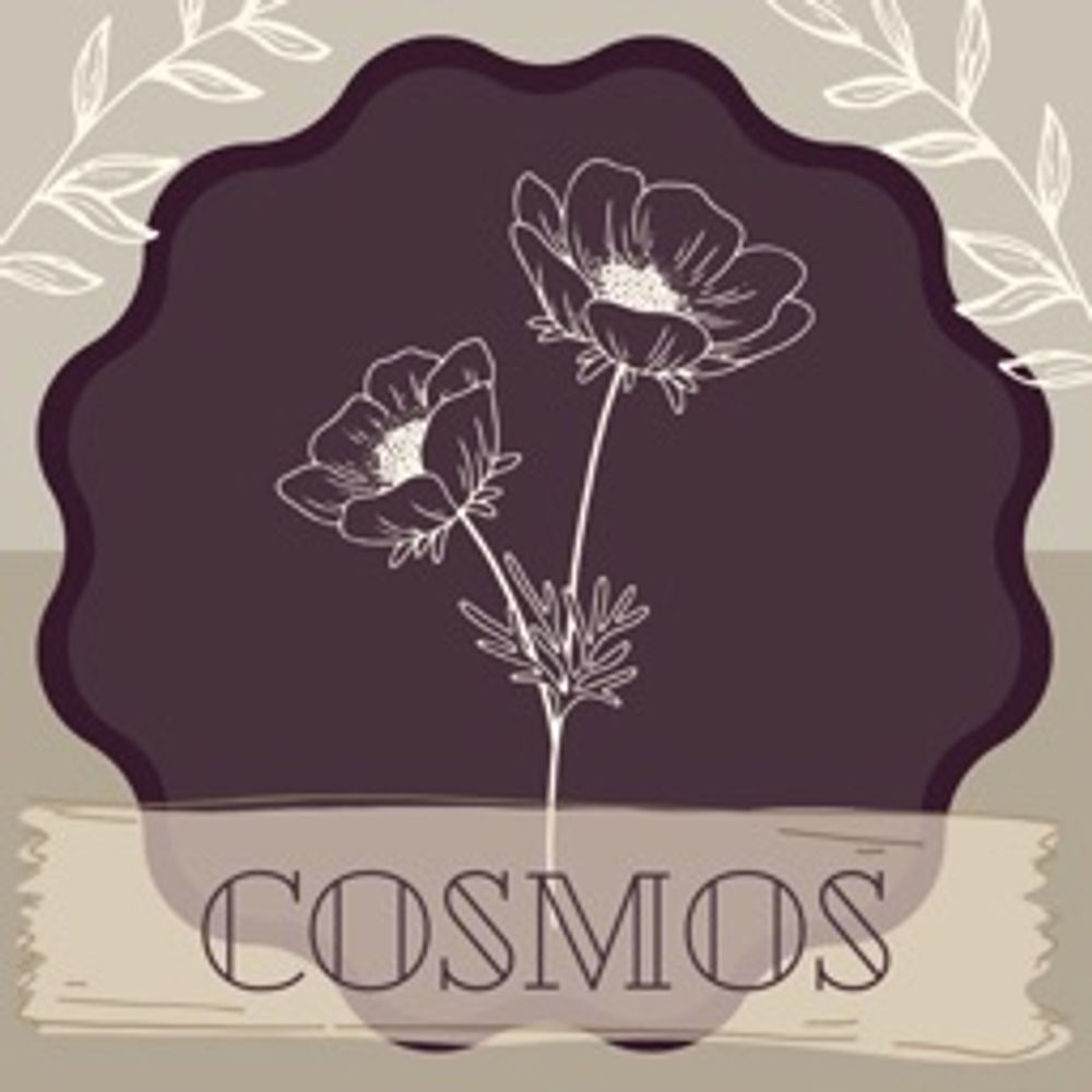 Seeds Of Cosmos