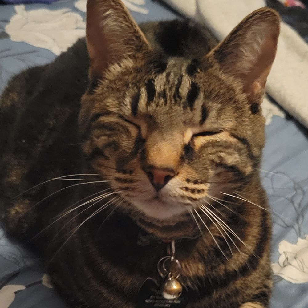 Watson