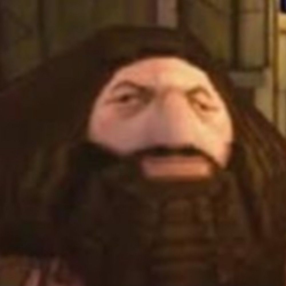 PS1 Hagrid