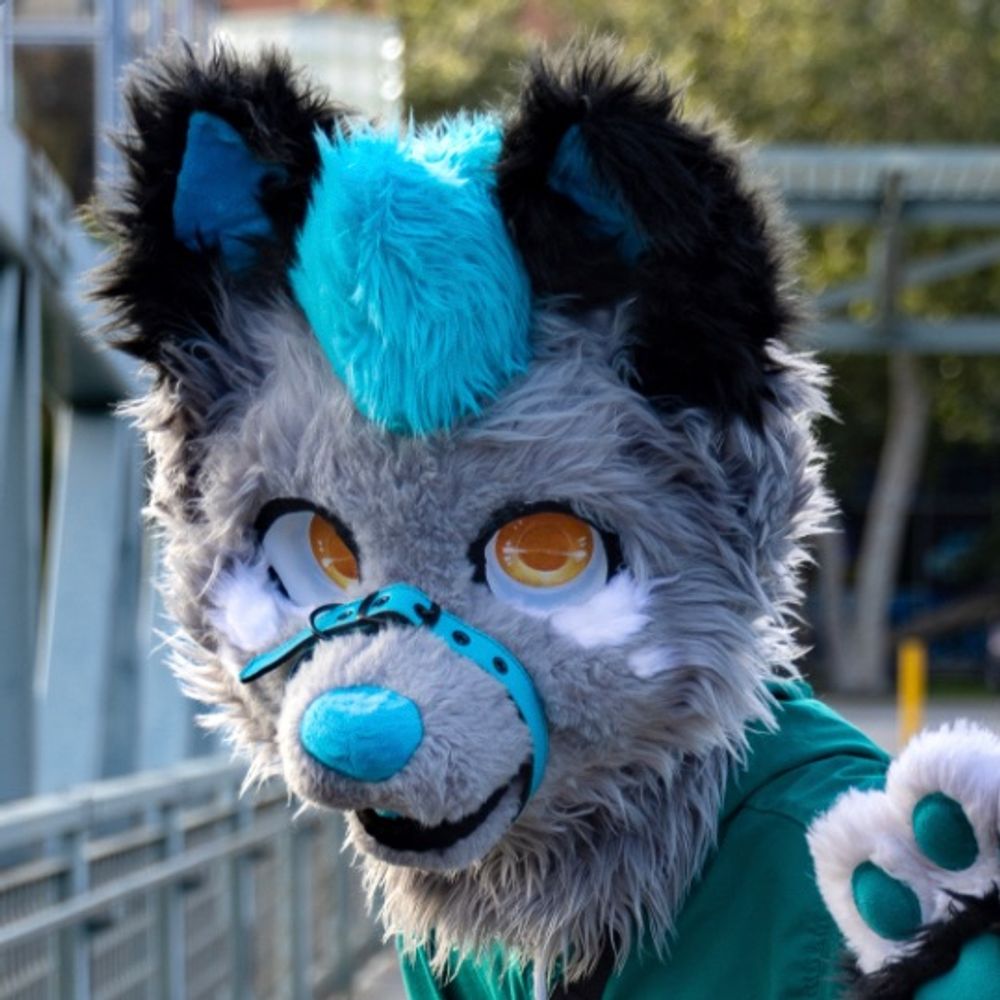 ScoutDaWolf