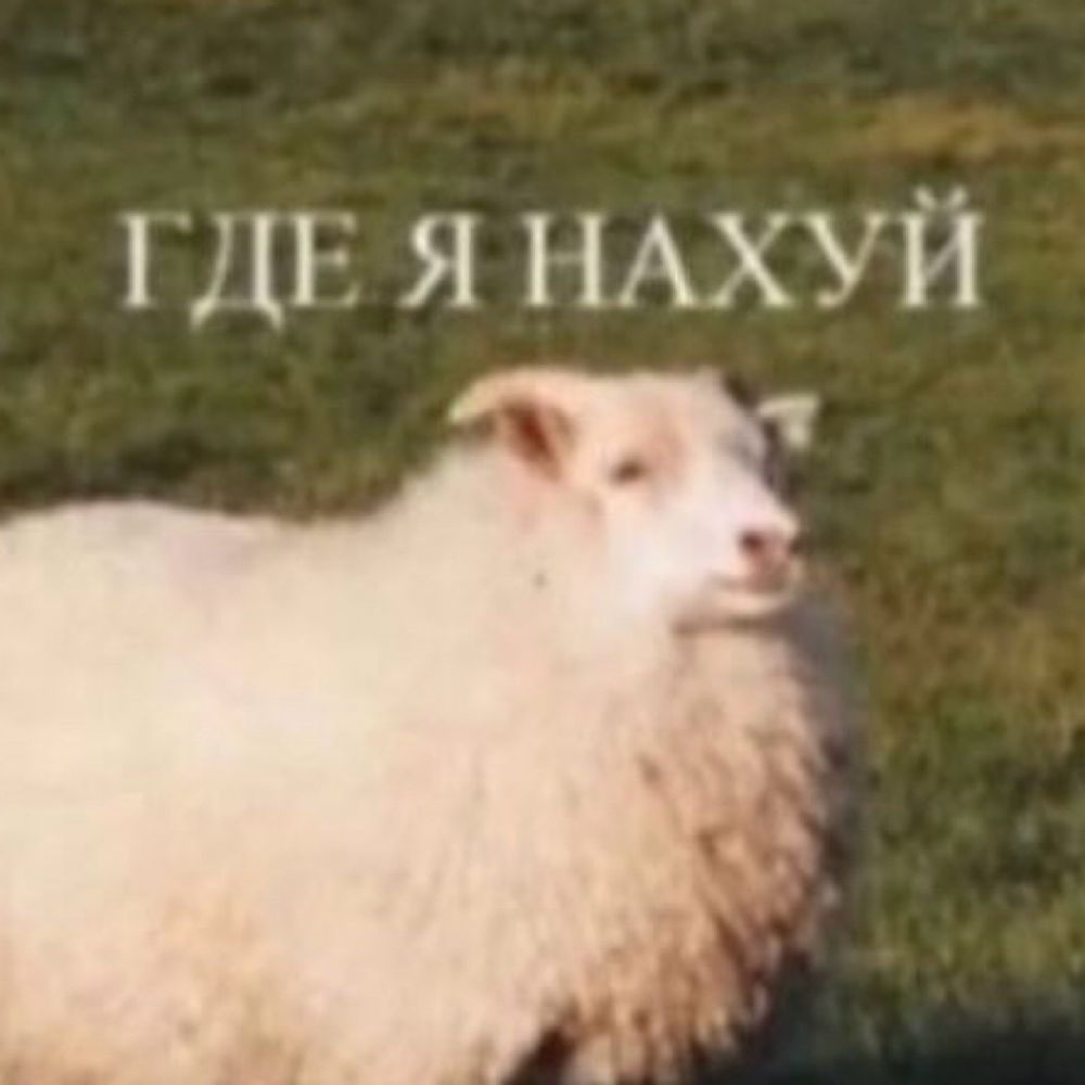 иконастасия