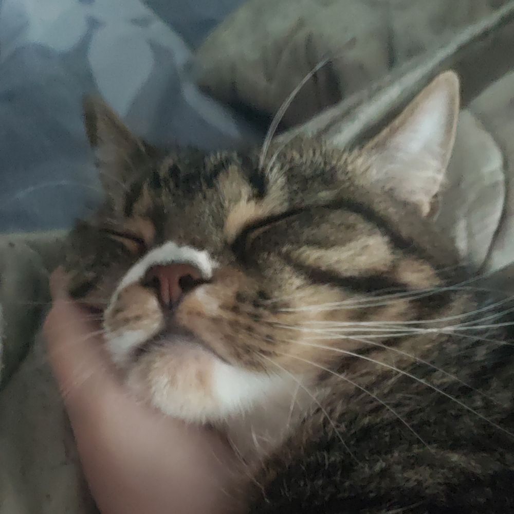 Piluchka