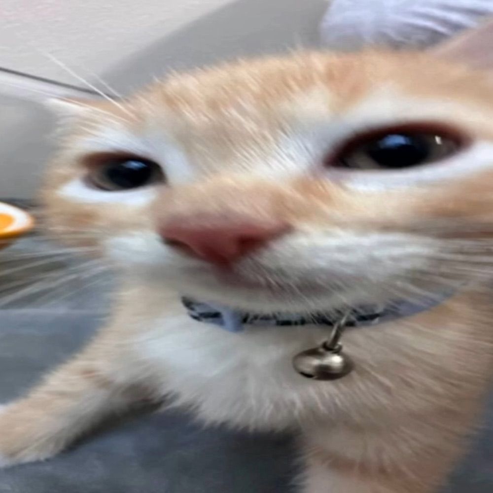 Salem???