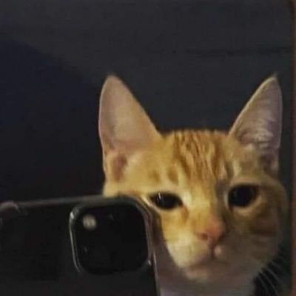 gui 🐈
