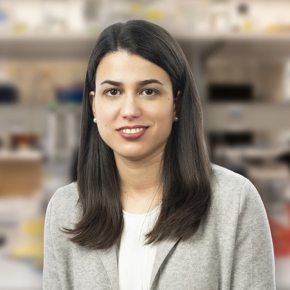 Corina Amor, MD, PhD