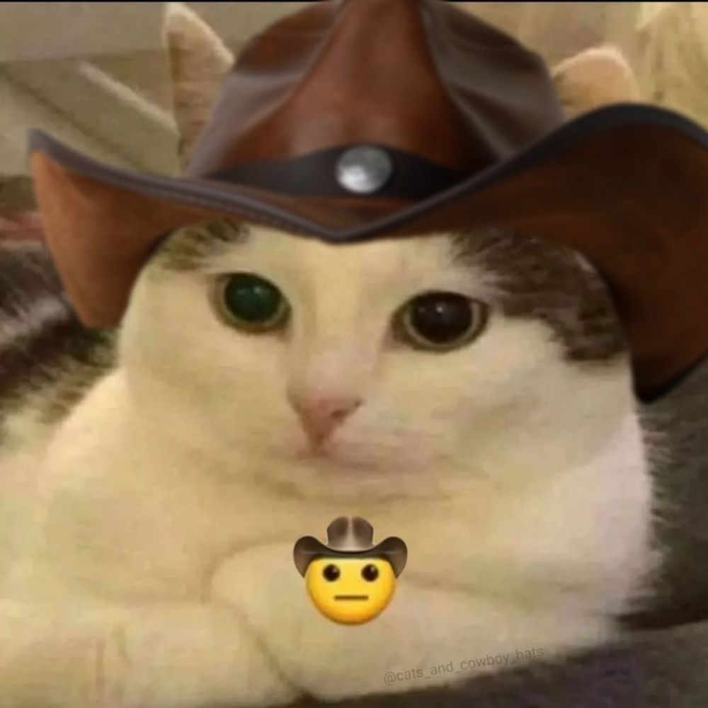 tia rê 🤠