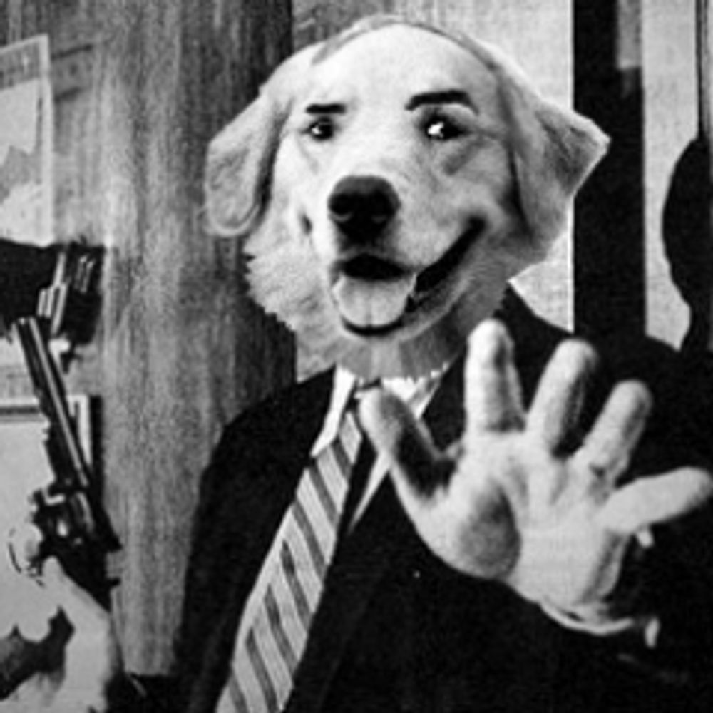 air budd dwyer's avatar