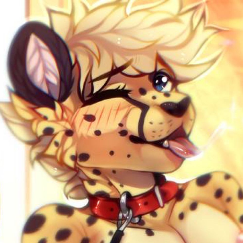 Echo Cheetah 