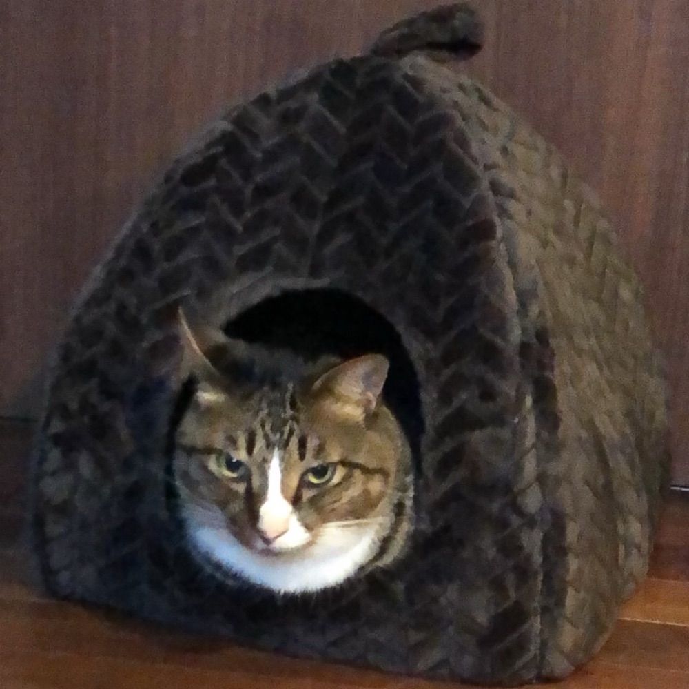 まるる