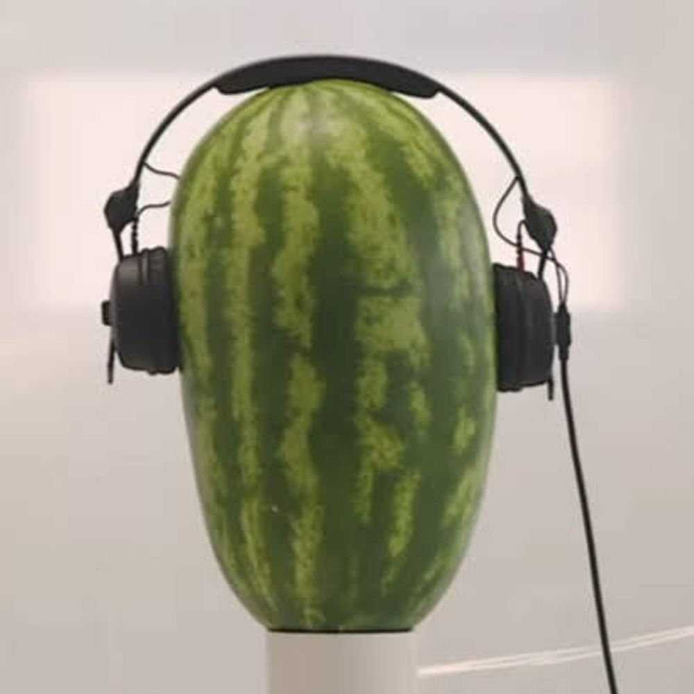 Wat-o-melon