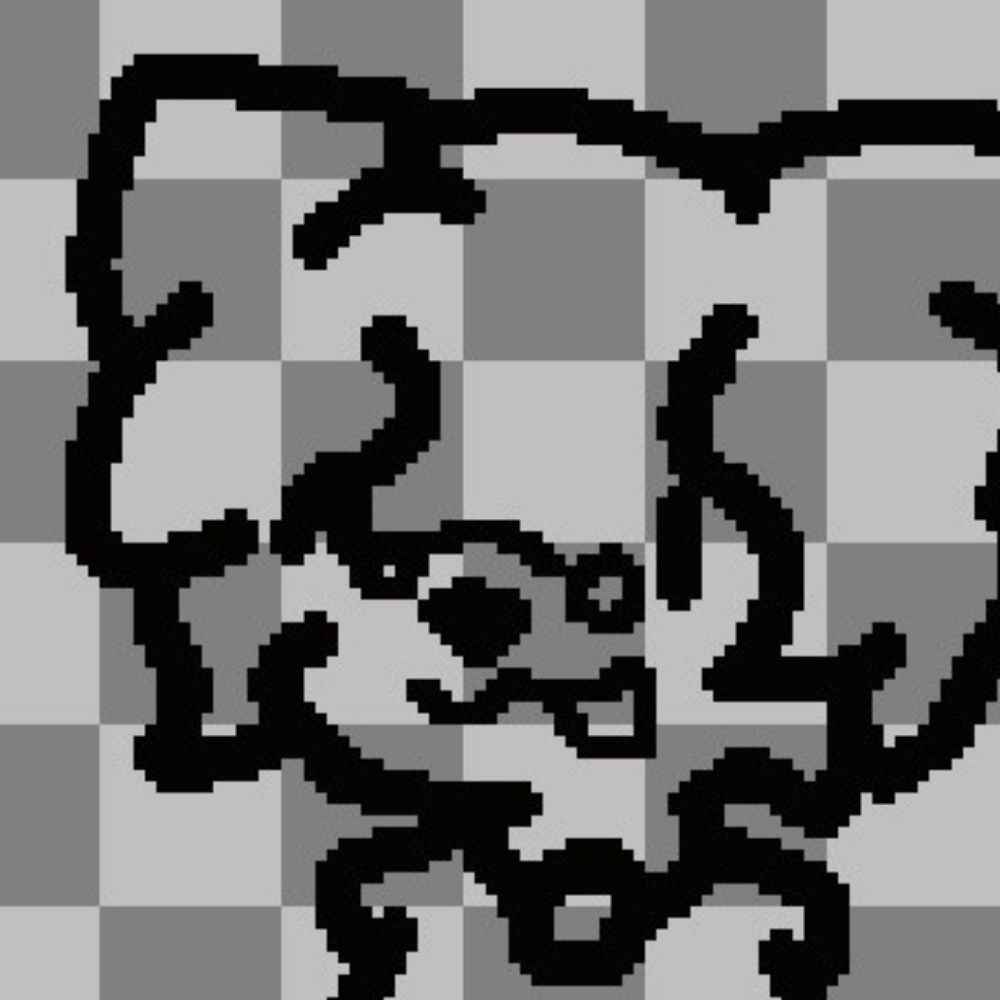 dumb cat