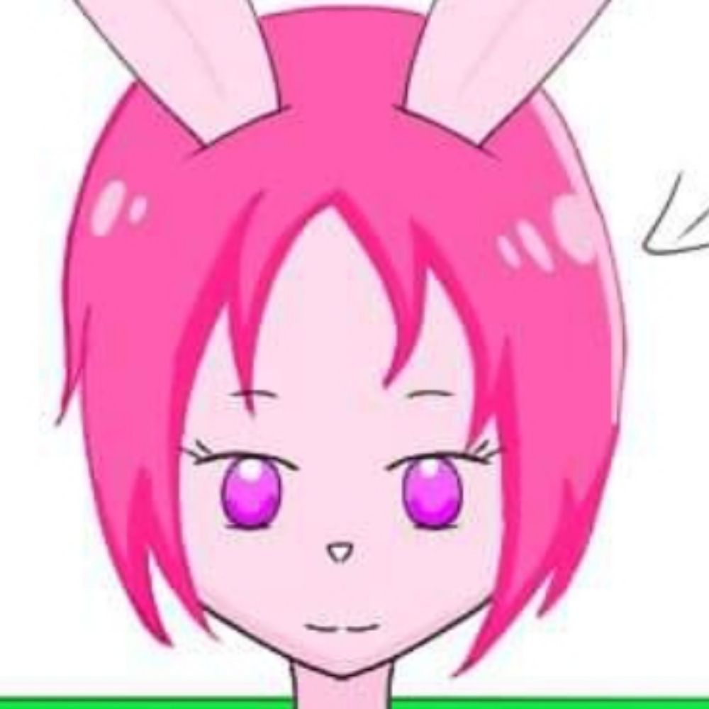粉兔兔
