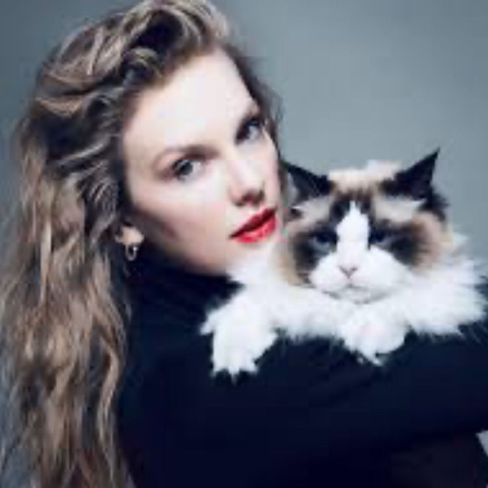 👑Taylor Swift News 👑