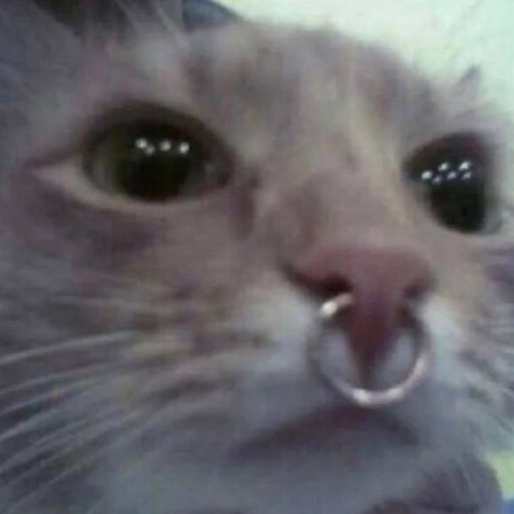 gab
