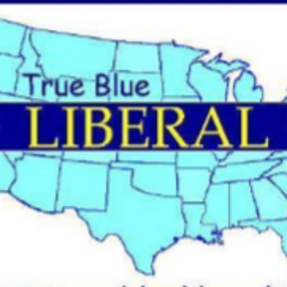 Profile picture trueblueliberal.bsky.social