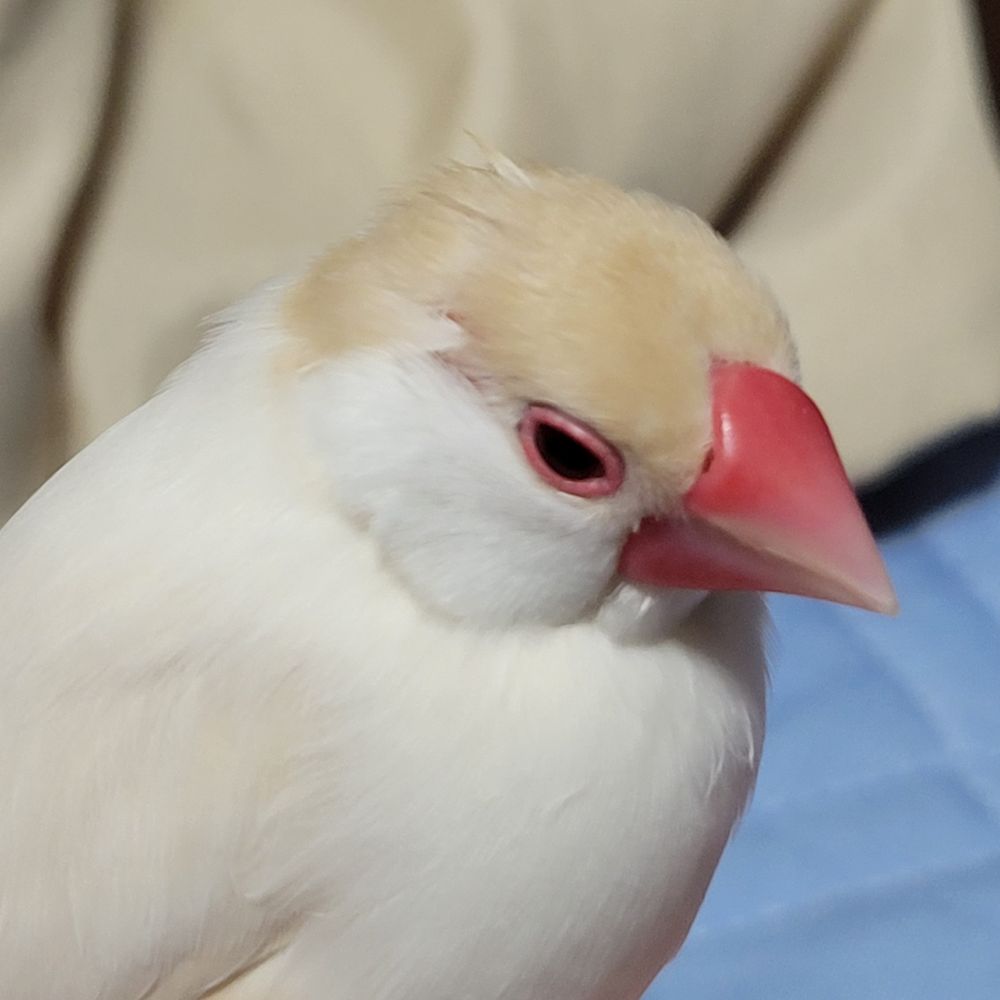 りょう