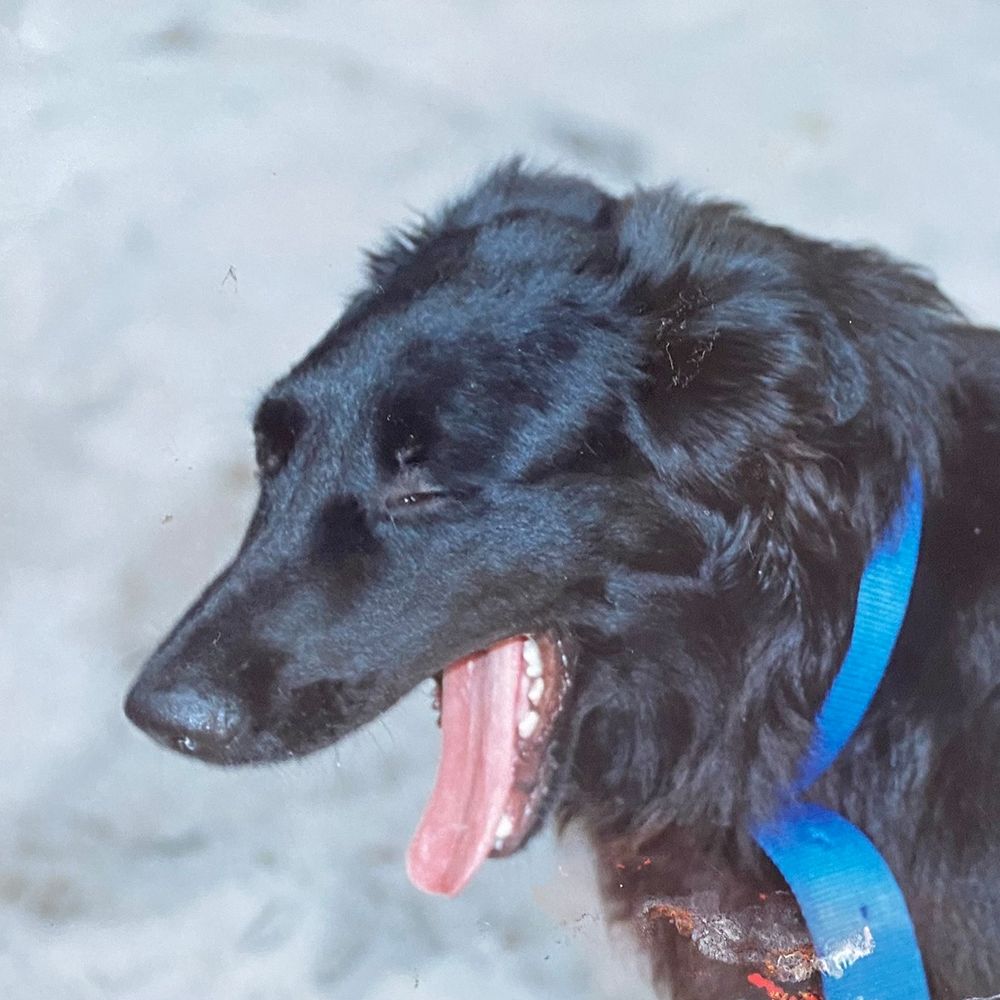 ;p