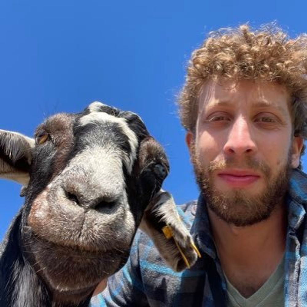 Yotam Bareket