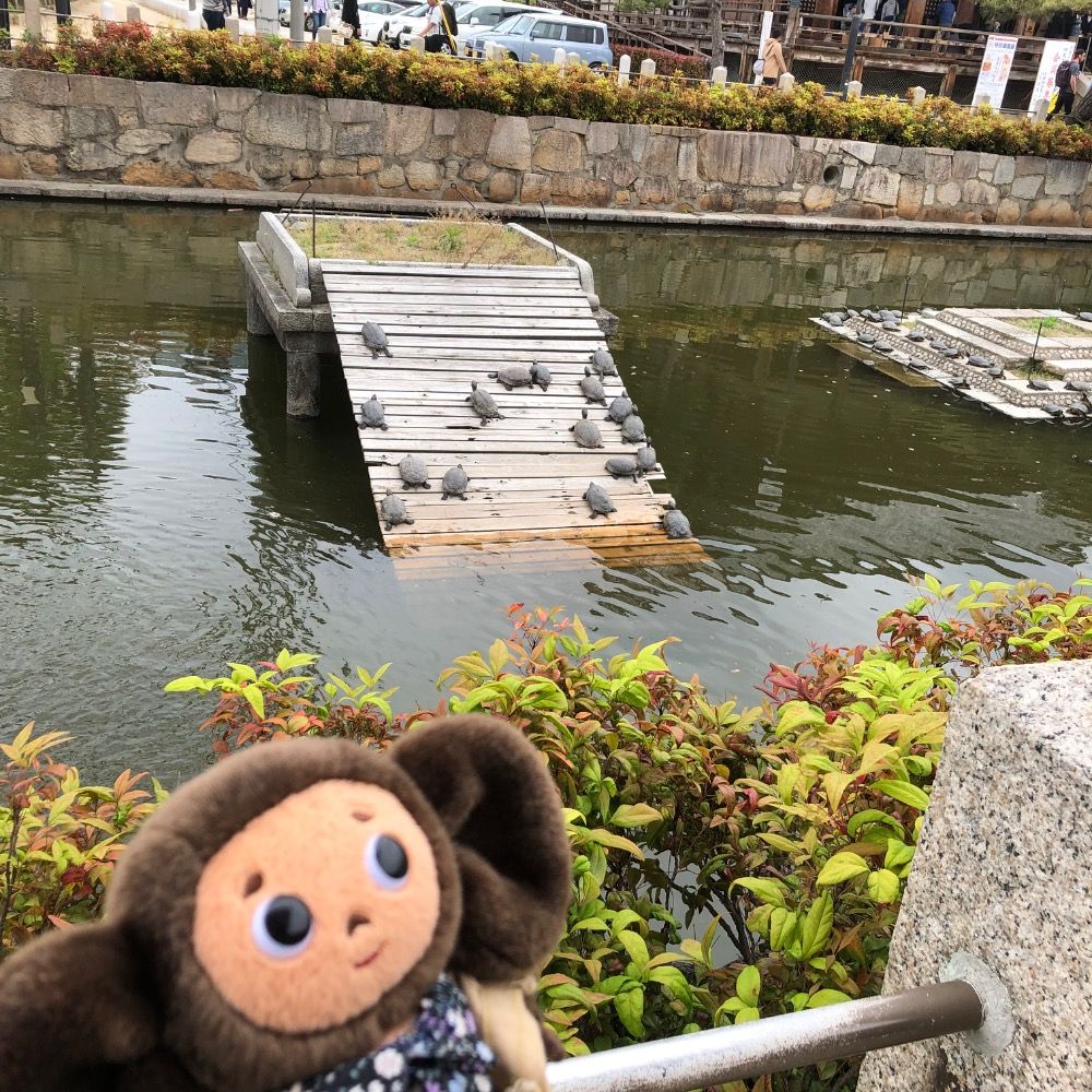 はすね