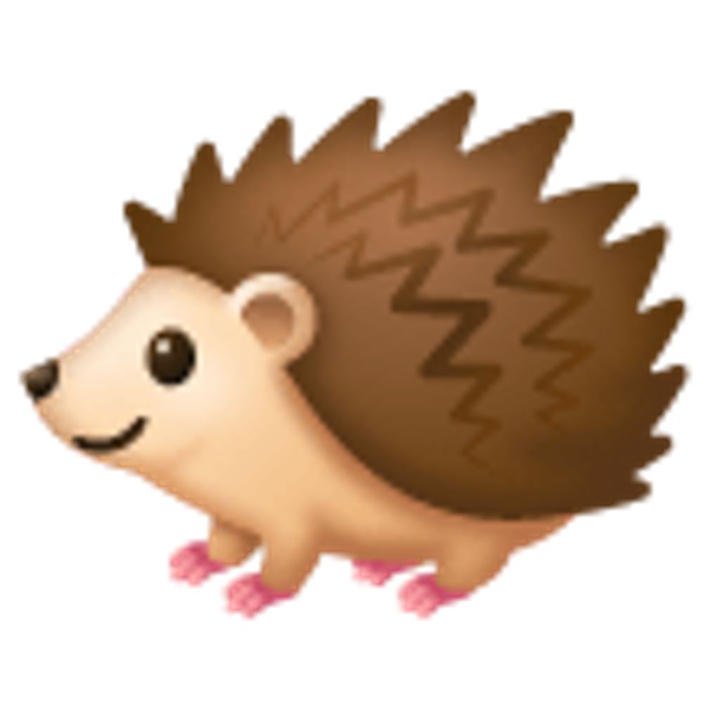 Hedgie
