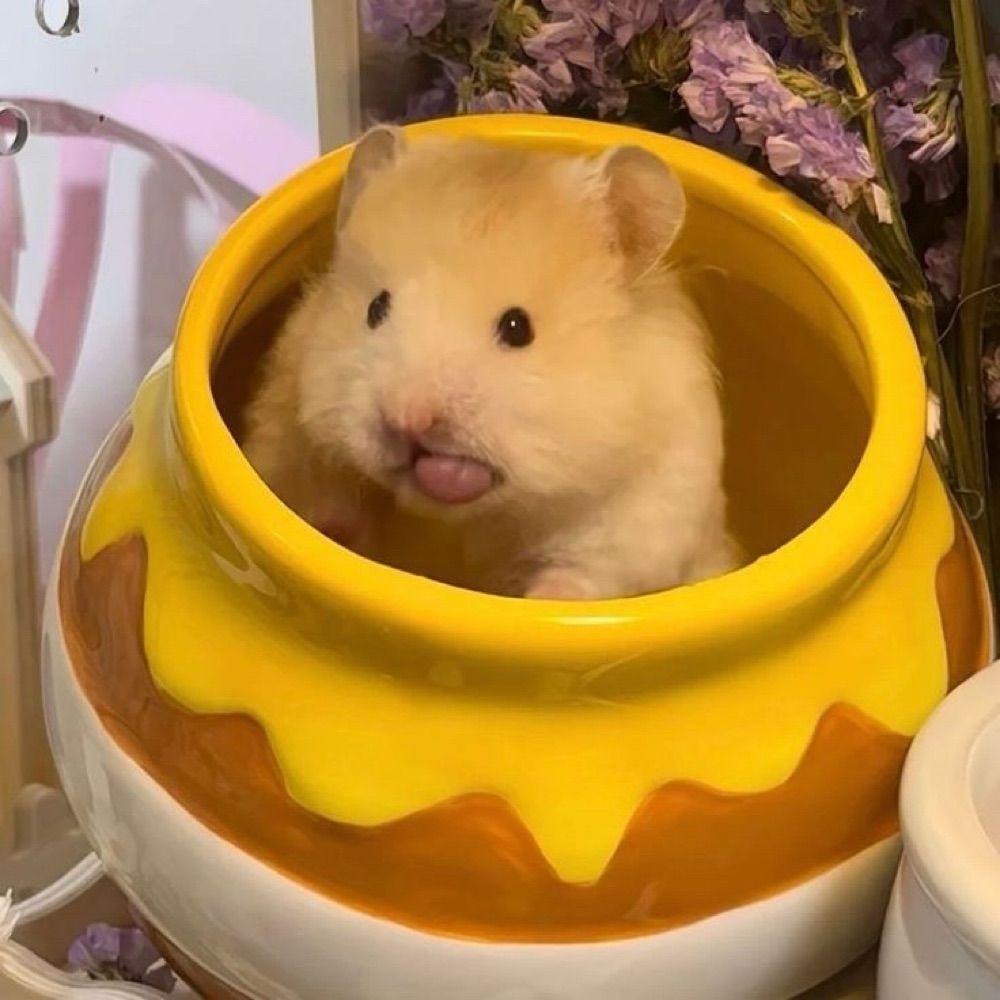 햄자
