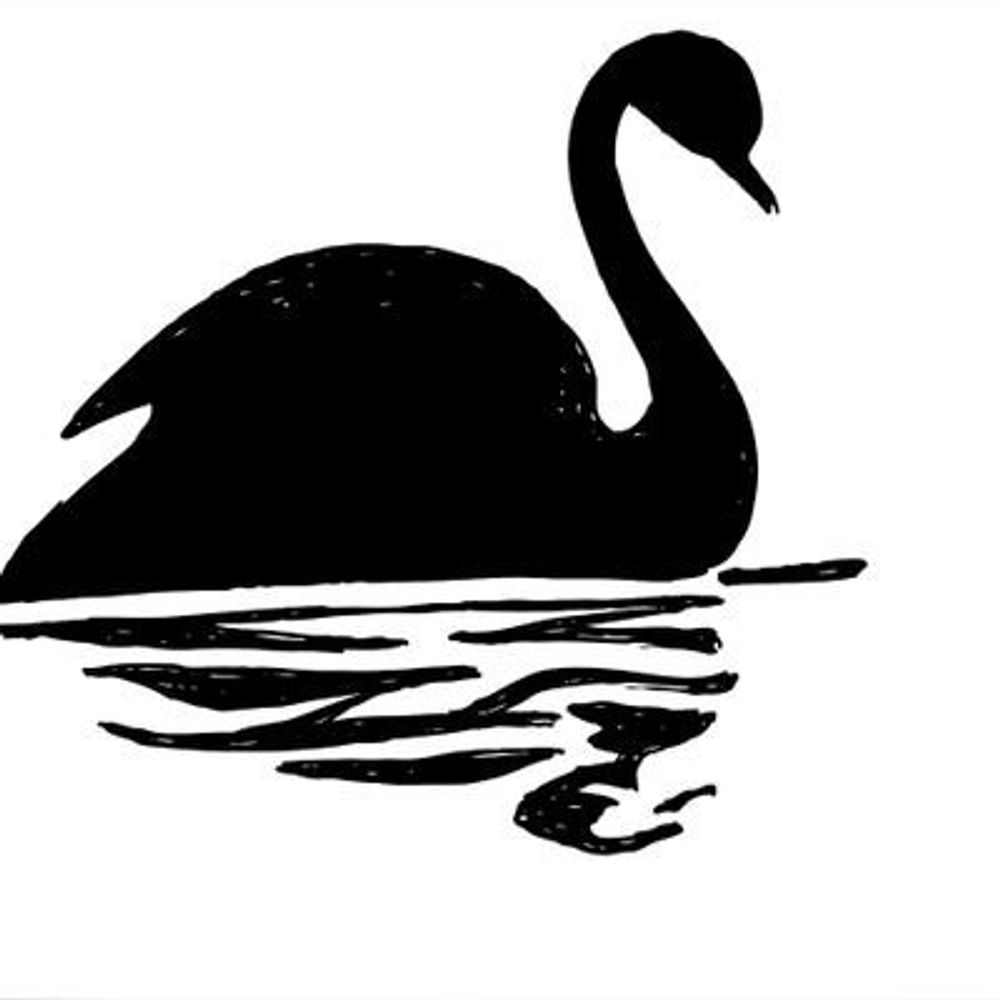 BlackSwan13